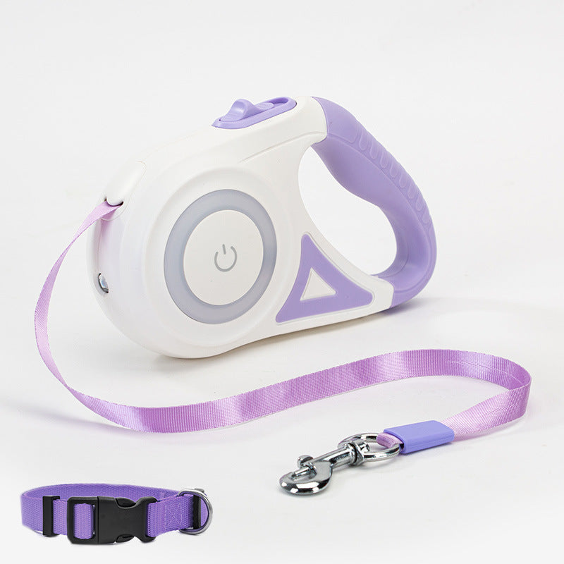 dog walking accessories