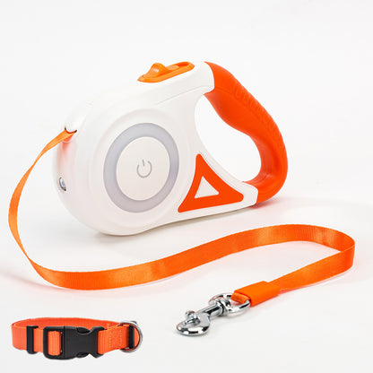illuminated dog leash