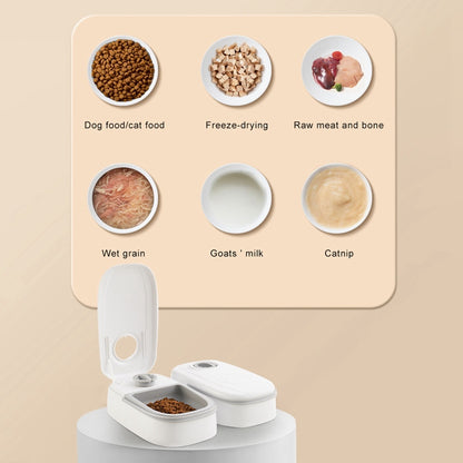 Holds 1 Gallon of Water — Ideal for Cats & Dogs